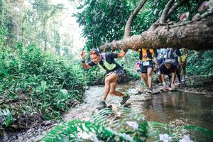 BIB: 
                            <button type="button" onclick="openModal(25455495)" class="btn btn-primary btn-sm float-right btn-popup" data-toggle="modal" data-target=".modal-high-quality">
                        <i class="fas fa-shopping-cart"></i> Add to Cart
                    </button>
                                            <button type="button" onclick="isThisMe(25455495, true)" class="btn btn-success btn-sm float-right btn-popup btn-isme hidden" data-toggle="tooltip" data-placement="bottom" title="นี่คือรูปของคุณใช่ไหม คลิกที่นี่เพื่อเอาเข้าอัลบั้ม">
                        <i class="fas fa-plus"></i> Add to album
                    </button>
                    <button type="button" onclick="isThisMe(25455495, false)" class="btn btn-warning btn-sm float-right btn-popup btn-isnotme hidden">
                        <i class="fas fa-ban"></i> Remove from album
                    </button>